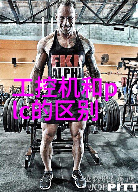 pp填料在现代材料科学中的应用与挑战