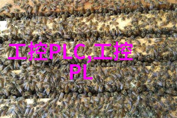 收楼验房指南如何确保新居无隐患