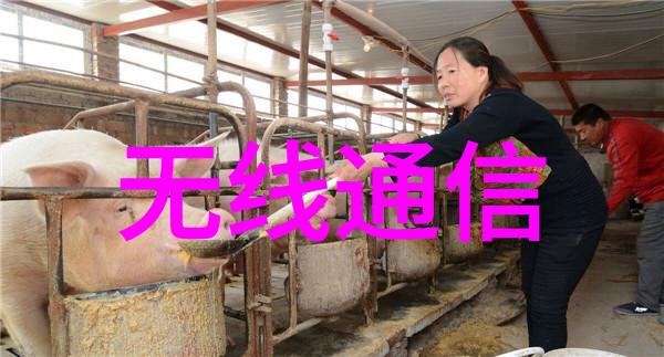 探索Pert管材解密工业流程中的关键材料