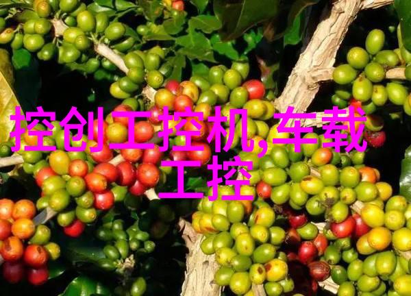 格格党的未来夫君成大魔王后的我们夫君成为未来的大魔王如何面对我们的生活