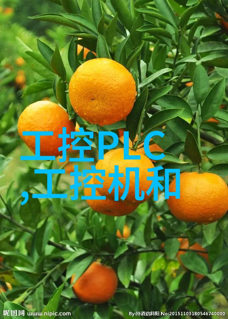分选设备之巅高效筛选技术的前沿探索