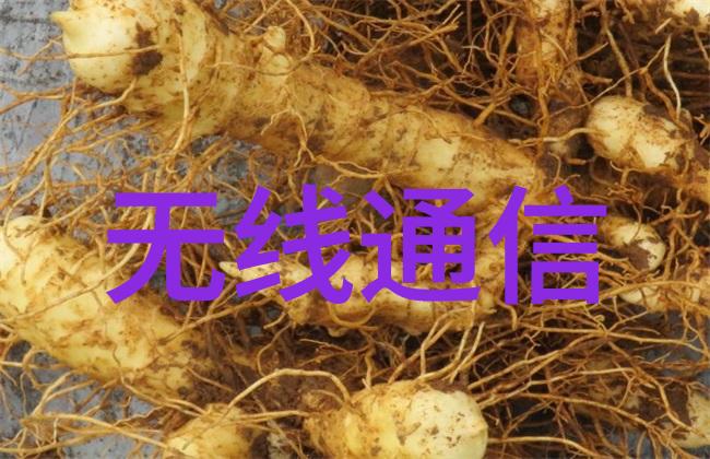 二手高温灭菌设备我买了个二手高温灭菌设备你说这玩意儿能不能用