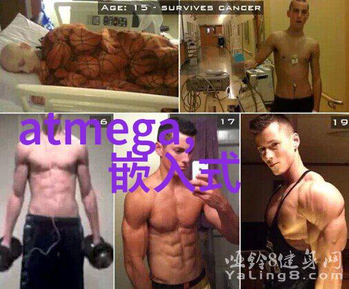 膜分离设备的原理-透过膜揭秘微孔技术与溶剂萃取的奥秘