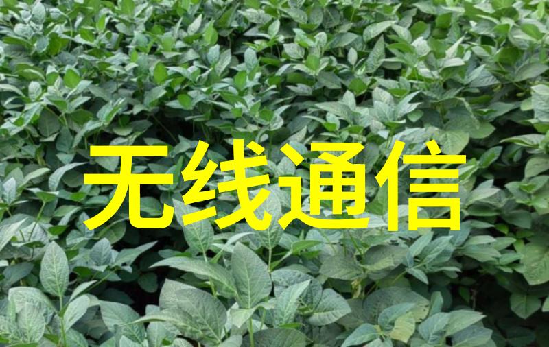 温馨居所时尚背景墙的客厅艺术展示