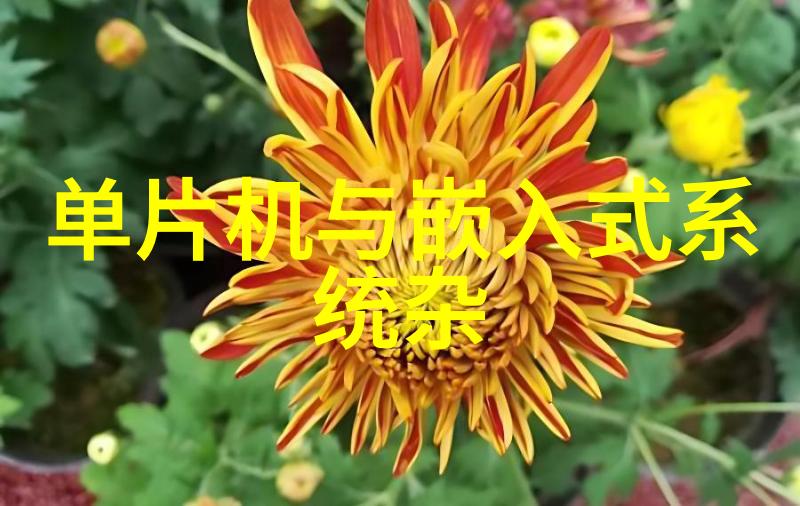PE排水管材高密度聚乙烯排水管的优选选择