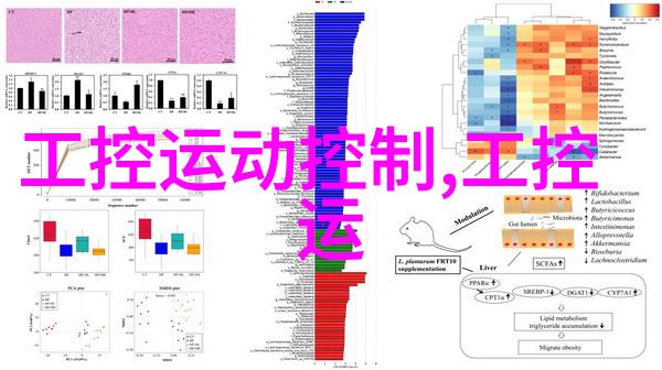 不锈钢管退火炉-精密温度控制技术在不锈钢管生产中的应用与优化