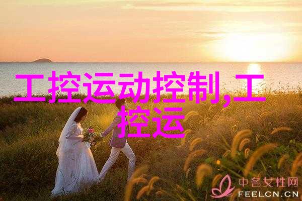 粉尘之舞机智的输送者