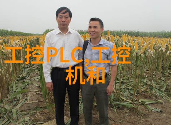 从土到墙毛坯房装修的关键工序解析