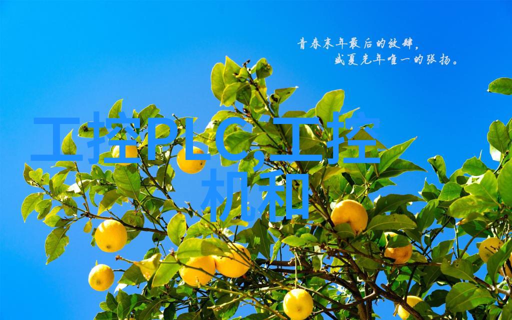 餐具消毒设备确保餐桌上的清洁与卫生