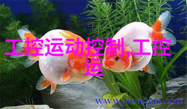 机床技术的未来数控时代的挑战与机遇
