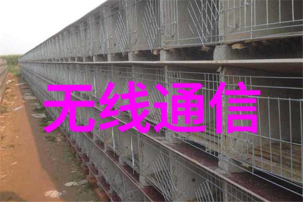 蒸汽换热器能量的中介者与效率的守护者