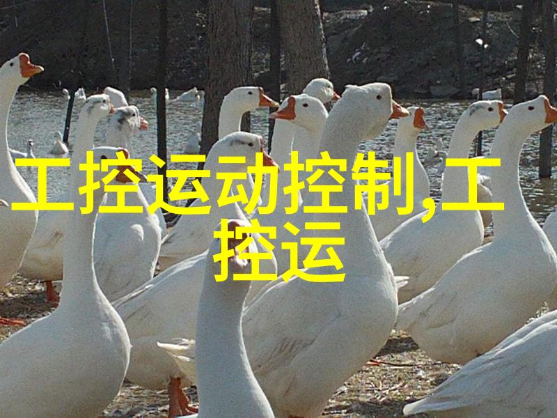 上海十大装饰公司选择适合小户型30平米的装修技巧在自然氛围中优化空间