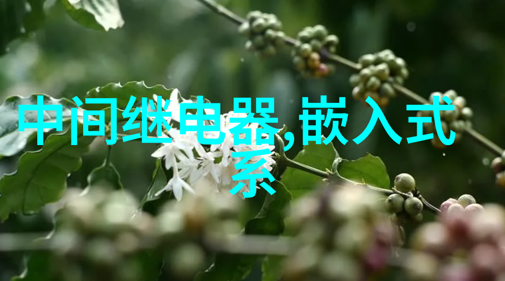 等保测评中心官网我是怎么查到我公司的安全审计报告的