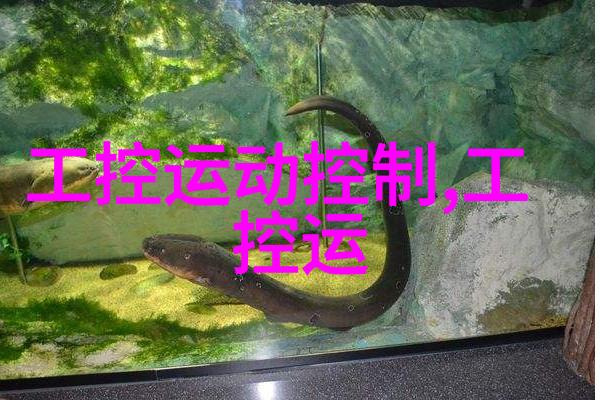 安全防线背后的黑客世界商用密码应用的隐秘挑战