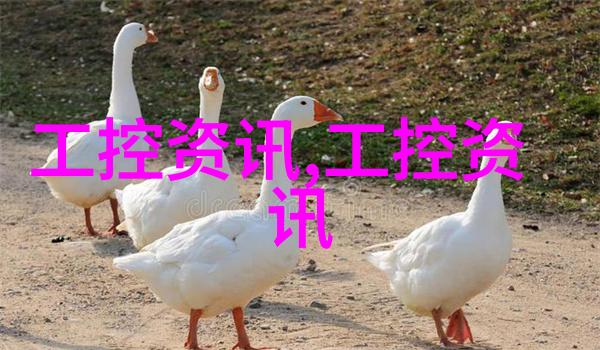 河流的呼唤清淤工作的重要性与挑战