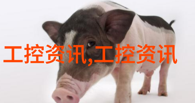 医疗器械-等离子灭菌器高效杀菌新技术的引领者