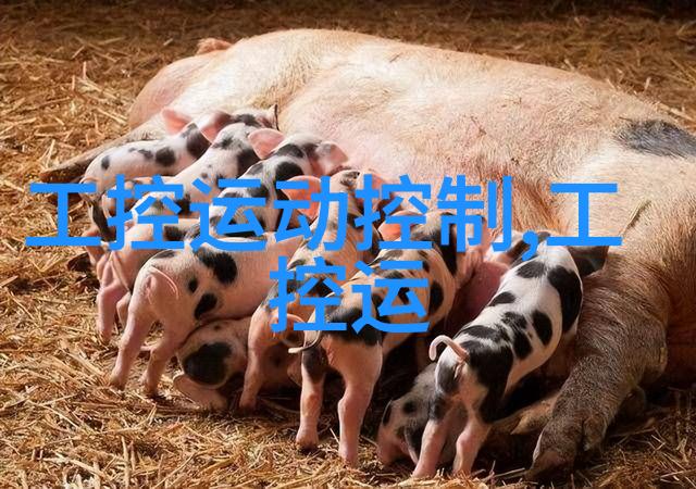 新型保温材料-高效节能的未来新型保温材料革命化建筑隔热技术