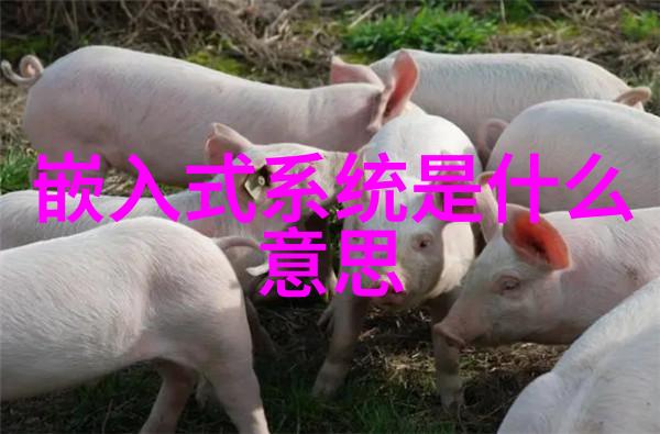 DIY家用不锈钢货架创意空间利用方法