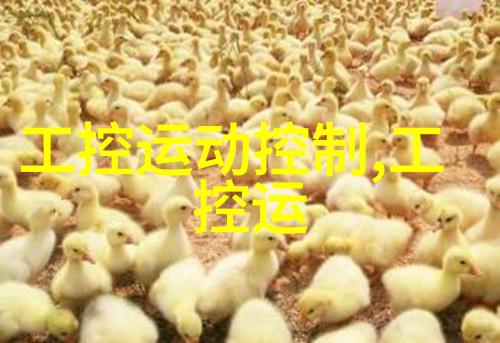 沙石分离机精准分割效率提升
