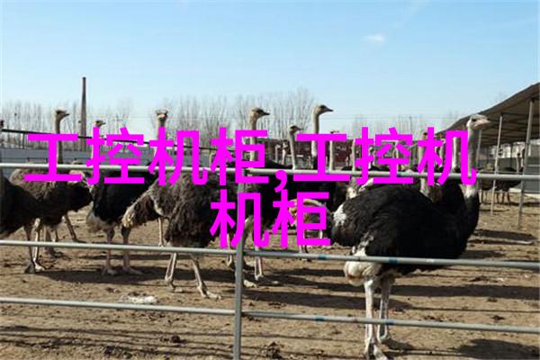 屠宰设备高效率的肉类加工之键