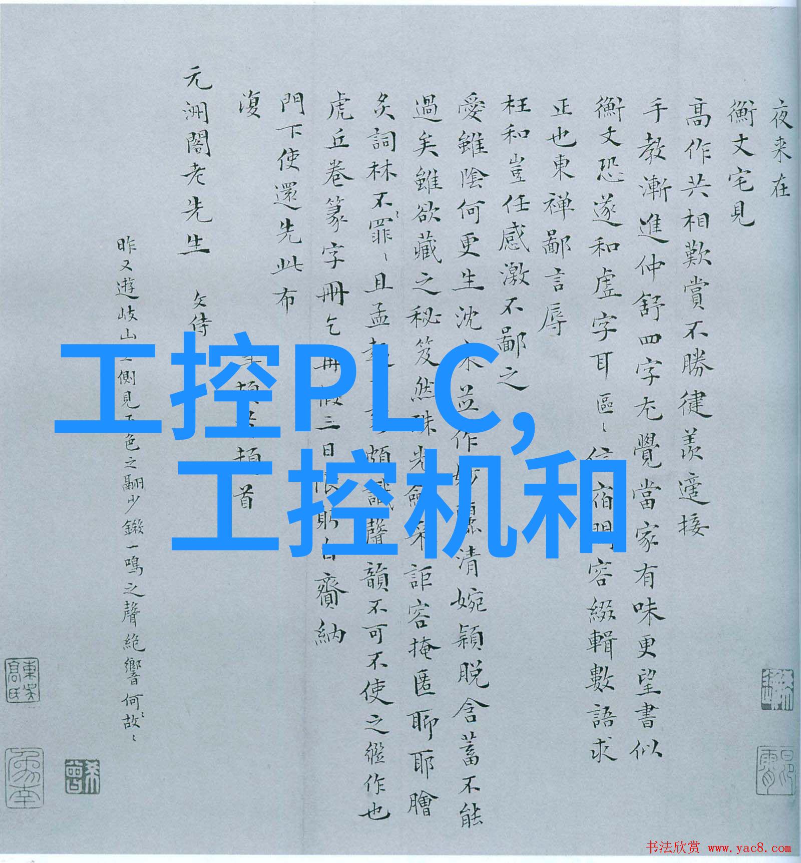 夏日无忧生活挥霍折火一夏的快乐时光