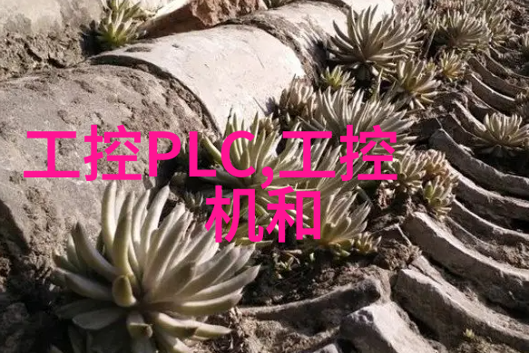 全自动立式高压灭菌锅-效率与安全的双刃剑全自动立式高压灭菌锅在食品加工中的应用探究
