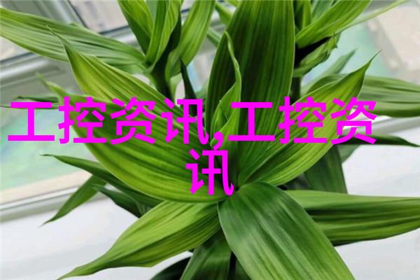 兔宝宝温暖的小生命的跳跃之旅