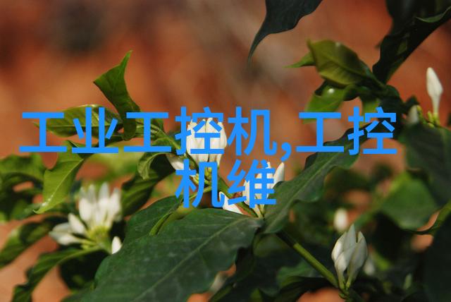 健康建议-专家推荐三种药物治疗新冠病毒有效缓解症状