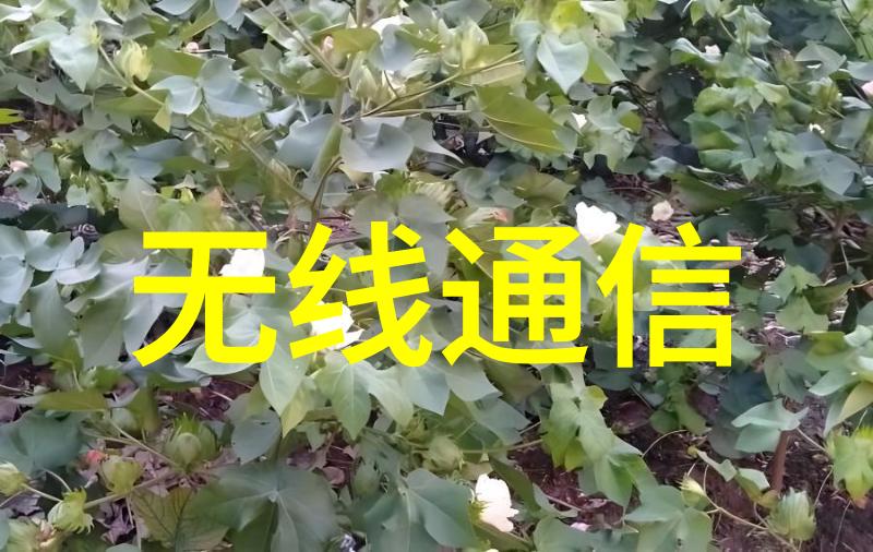 绿色环保新篇章高效废气处理设备优惠大放送