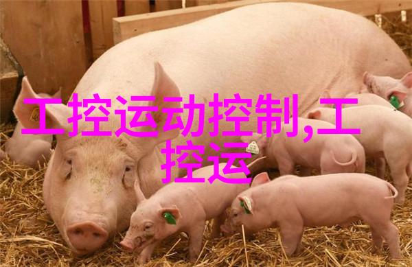 卫生级隔膜泵对环境保护有哪些积极作用