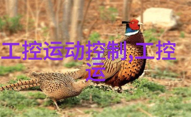 新规出炉提升核酸检测精度确保公共卫生安全