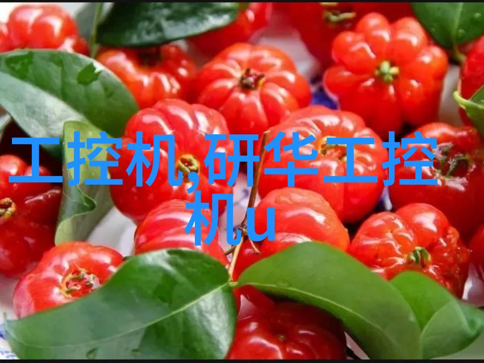 探索9612黄桃网站独特设计如何优雅融合移动端体验与用户友好性