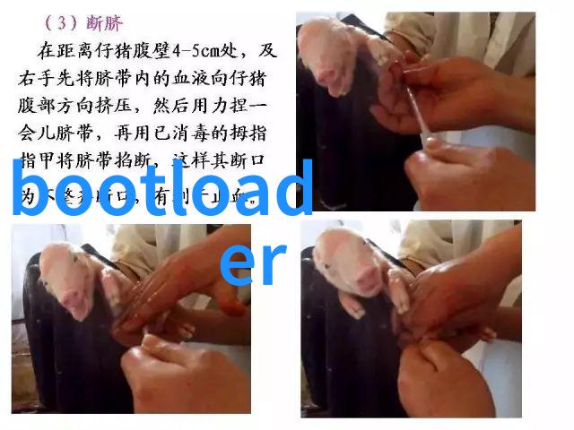 家用电缆管理如何利用电缆支架提高居住空间整洁度
