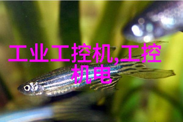 广东佛山不锈钢厂家我在这座古城的工厂里找到了不一样的故事
