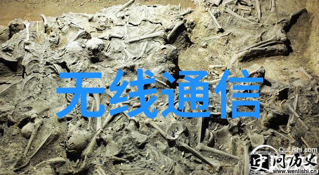 不锈钢市场动态追踪揭秘价格走势图背后的经济力量
