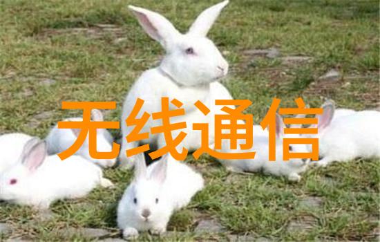 附近不锈钢加工-邻里工匠的不锈钢奇迹从原料到产品的精密加工之旅