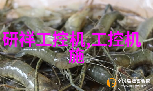 水质检测笔准确性探究揭秘它如何精确评估水源清洁度