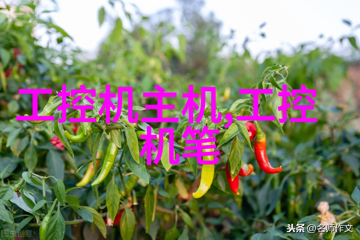在升级老旧设施时如何选择合适的化工密封件替代品