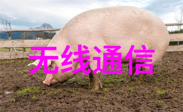 我来帮你看看油水分离器内部结构图解析