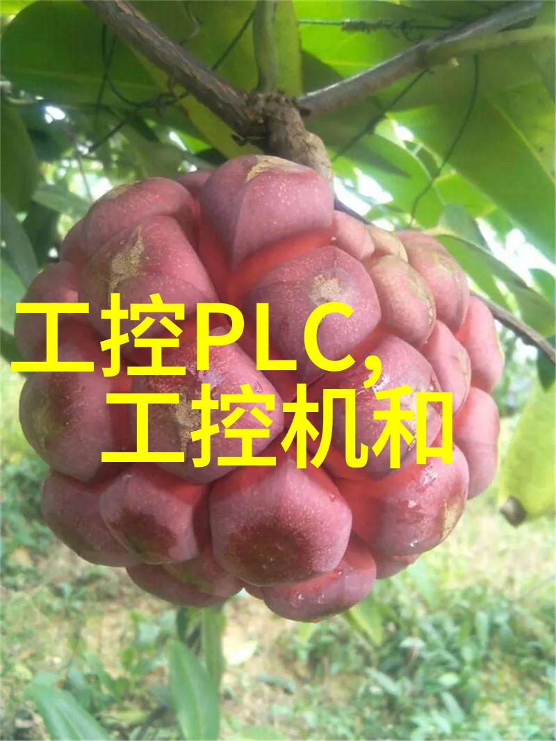 煤炭分选机黑金的精准挑选者