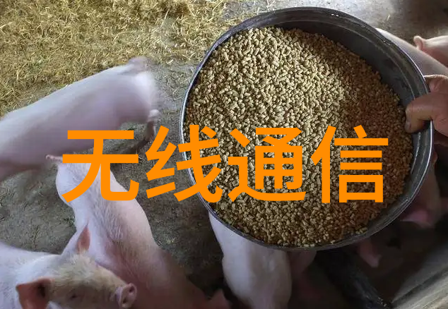 膜分离工艺-膜分离技术的多样化应用与发展