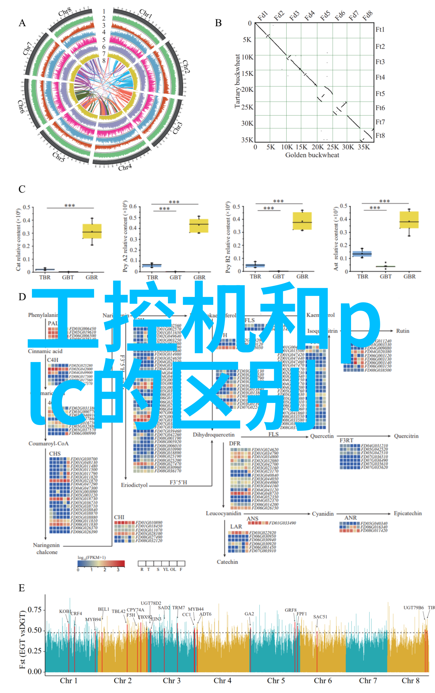 创意设计将水泥地坪漆融入现代家居风格中
