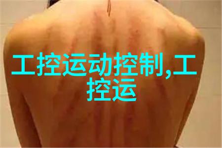 室内美学的布局从地板到顶棚完美装修指南