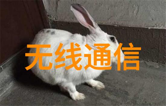 万能拉力机我是如何用它征服家里的杂事的