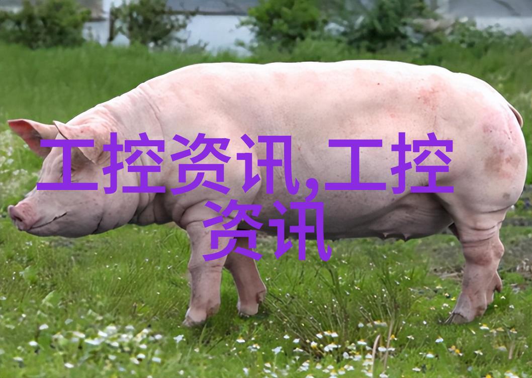 全自动立式高压灭菌锅-无人操作的食品安全守护者