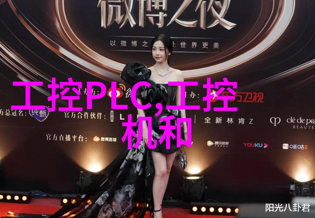 波纹美女的不锈钢秘密刺孔板的幽默填充