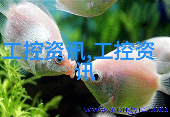 DMP大湾区工博会盛大启幕普恩克全直驱桥式龙门PHC5D惊艳亮相