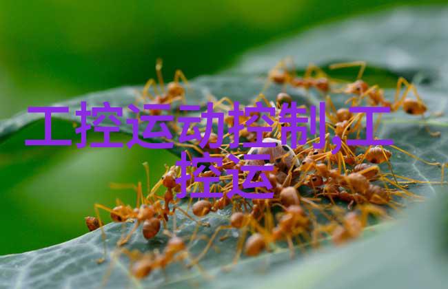 上证红利510880市盈率股市投资分析深度