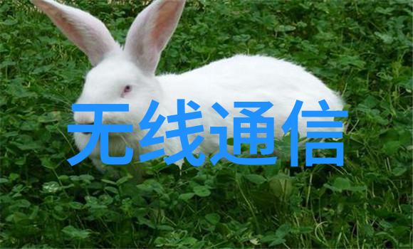 反应的迷宫激荡中的化学梦想