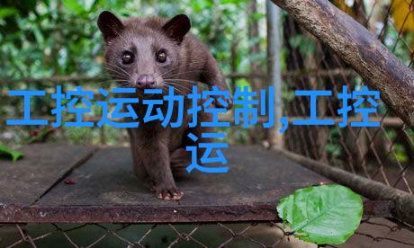 空气净化器清新每一息的神奇机器